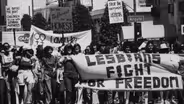 Protests & Parades