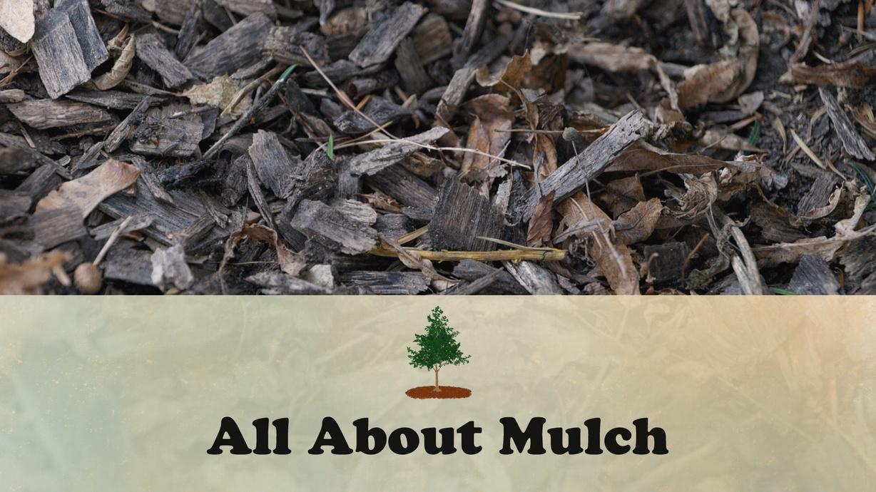 All About Mulch Watch on PBS Wisconsin