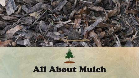 Video thumbnail: Let's Grow Stuff All About Mulch