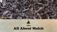All About Mulch