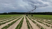 Farmers struggle as shifting weather patterns disrupt crops