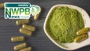 A Closer Look at Kratom and Efforts to Improve Behavioral Health in Washington: November 15, 2024