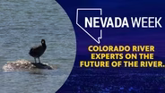 Colorado River experts on the future of the river.