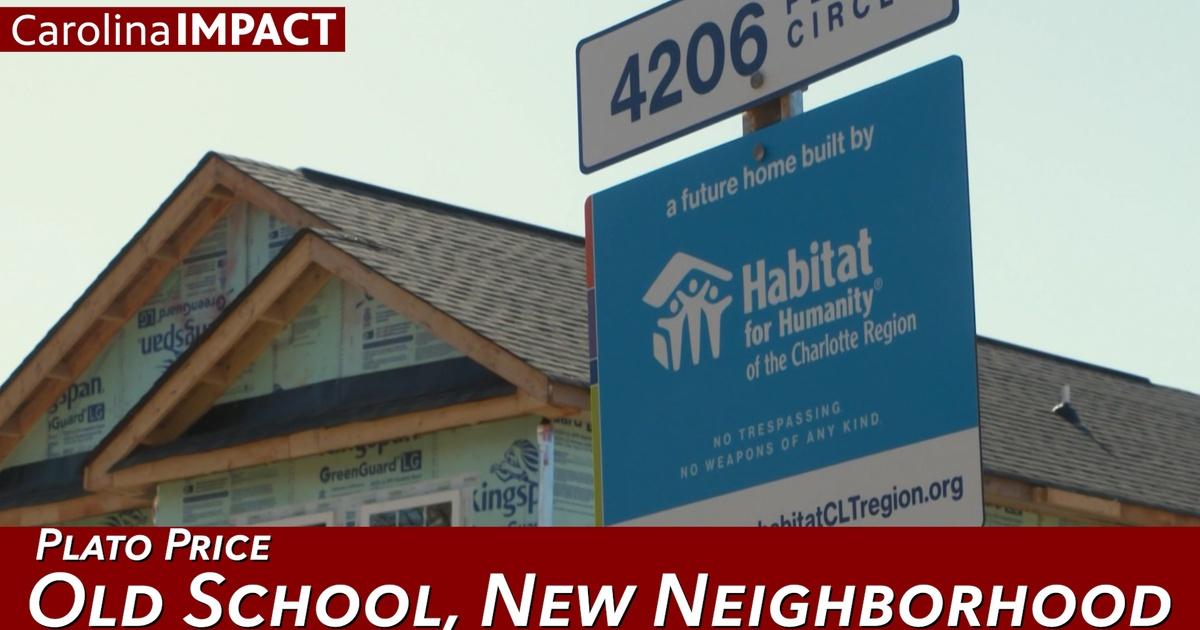 Carolina Impact Plato Price Old School, New Neighborhood Carolina