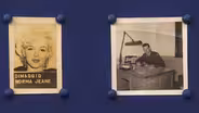 Appraisal: 1954 Marilyn Monroe Military Defense ID Photo