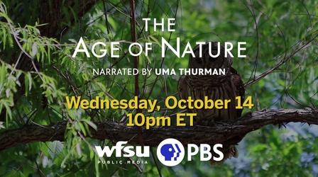 Video thumbnail: Local Routes Preview PBS Age of Nature: Episode 1