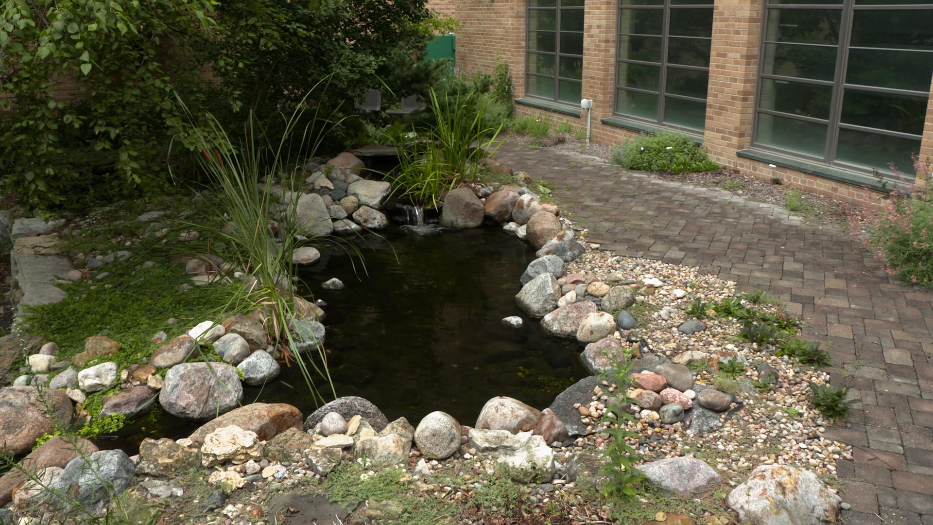 Backyard Farmer | Western Nebraska Trees & Waterwise Landscapes | NJ PBS