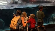 North Carolina Aquarium at Pine Knoll Shores