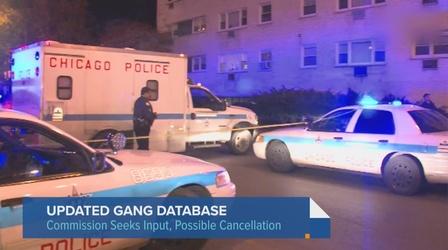 Video thumbnail: Chicago Tonight Chicago Police Prepare to Relaunch Gang Database