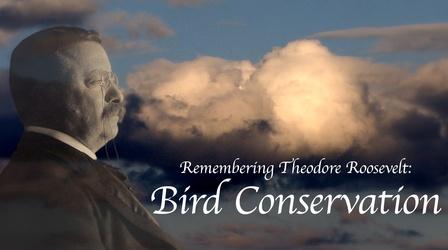 Video thumbnail: Prairie Public Shorts Remembering Theodore Roosevelt: Bird Conservation