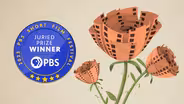 2023 PBS Short Film Festival Winner