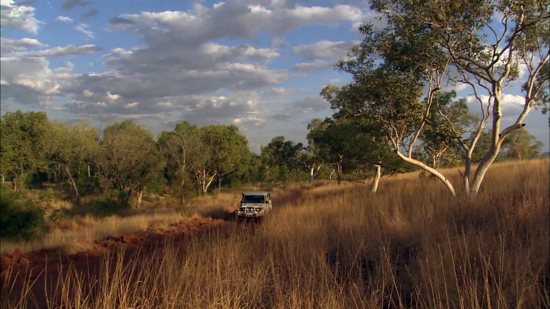 Saving Australia's Wild West