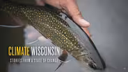 Fly Fishing