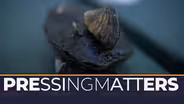 Pressing Matters | Invasive species