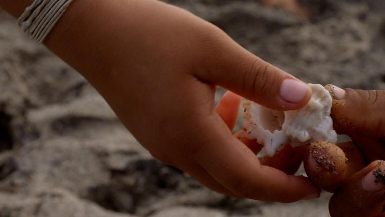 Sacred Planet with Gulnaz Khan Image