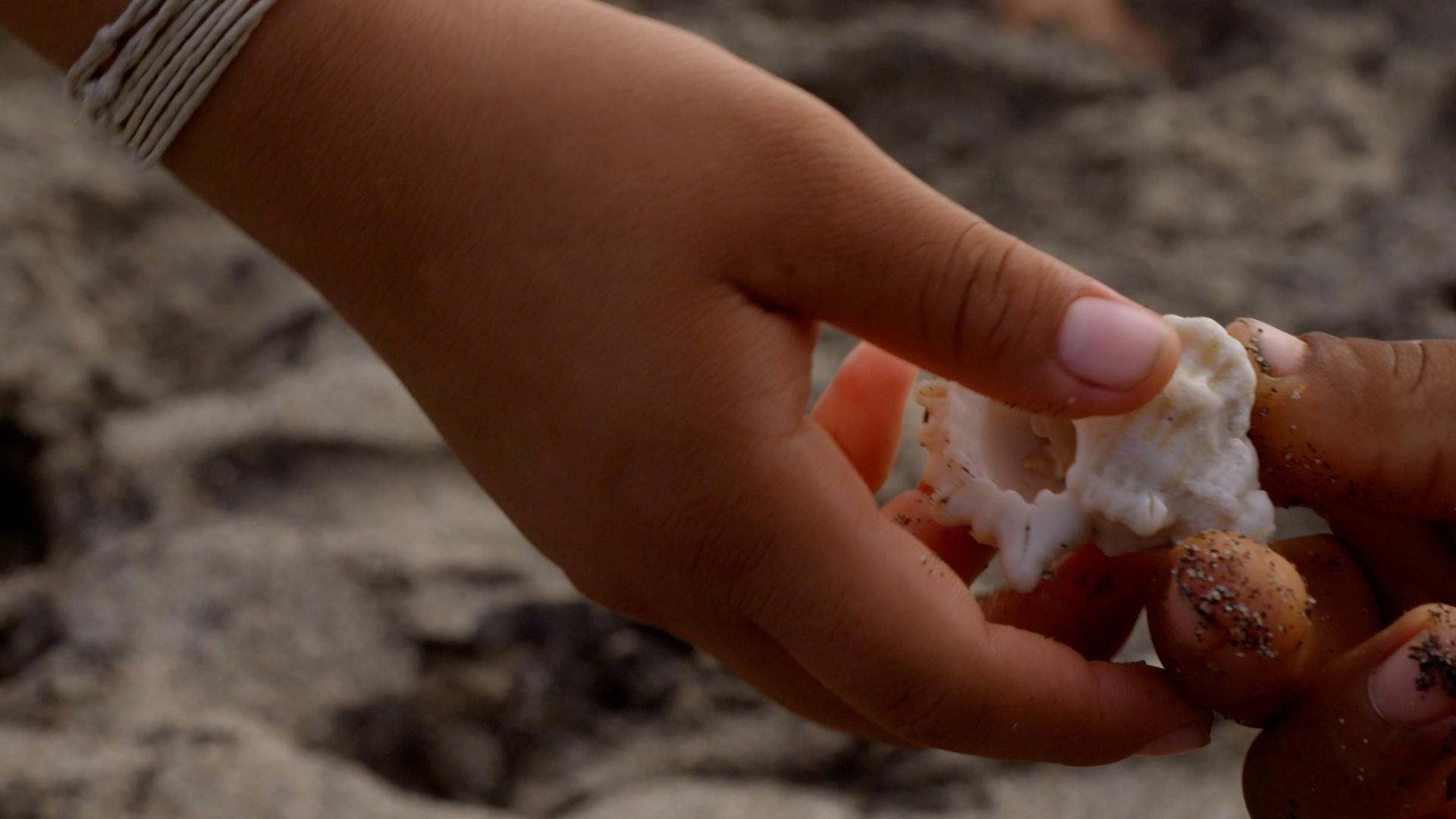 Shayer Mamo Mamo Camilo and the Spiritual Beliefs of the Arhuaco | Sacred Planet ...