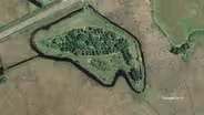 Minnesota Goose Garden