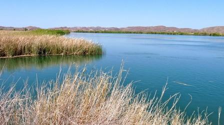 Video thumbnail: Our Land: New Mexico’s Environmental Past, Present and Future On the Colorado, ‘everybody understands the problem'
