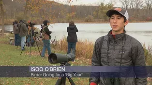 Local Teen’s ‘Big Year’ Breaks Cook County Birding Record