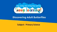 Primary Science #4: Discovering Adult Butterflies
