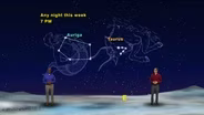 "Sharing Stars” December 10 - December 16th 1 Min