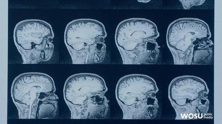 Video thumbnail: QED With Dr. B Your Brain On Science Preview