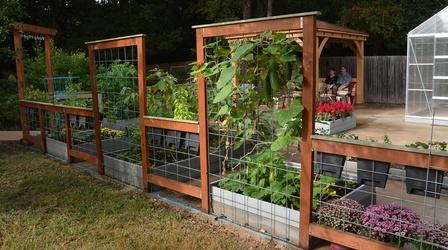 Video thumbnail: Central Texas Gardener Square Foot Gardening