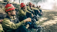 Wildland - Trailer