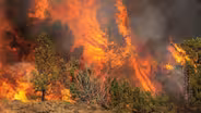 Living With Wildfire