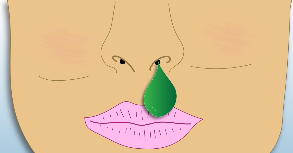 NOVA | Snot 101 | Season 44