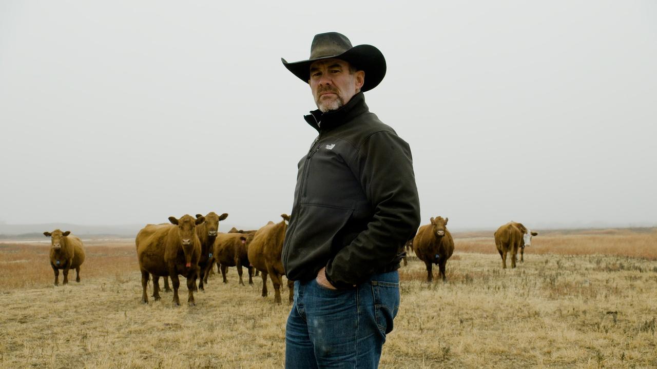 The Story: CONNECTION TO THE LAND