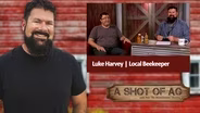 S02 E12: Luke Harvey | Local Beekeeper