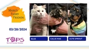 03/28/2024  Blue, Callie Mae and Alfie Sprout  | Mark's Furry Friends