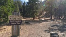 Video thumbnail: Hidden Hikes Whispering Pines