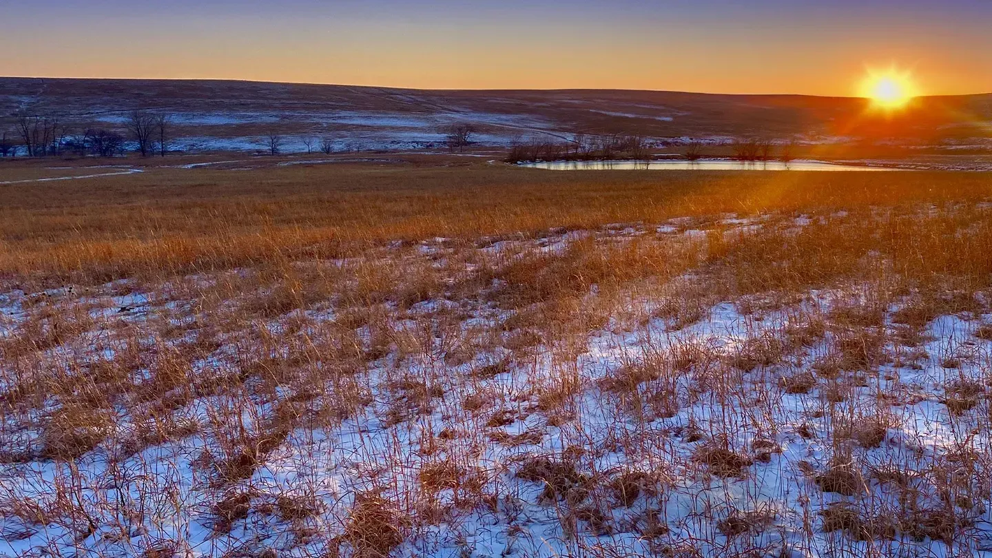 Prairie Winter