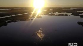 Video thumbnail: Louisiana: The State We're In Governor's Race, Engineering, Weighing, Wild