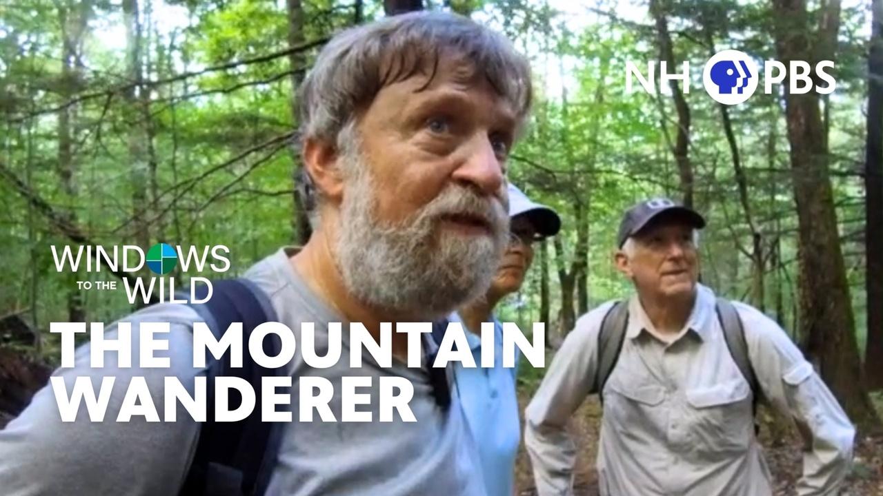 Windows to the Wild | The Mountain Wanderer