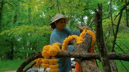 Video thumbnail: Gallery America Sarah Ahmad: 'American Dream'