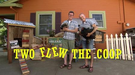 Video thumbnail: Yes! We're Open Two Flew the Coop