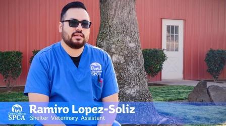 Video thumbnail: byYou News/Public Affairs CCSPCA Behind the Kennel: Ramiro