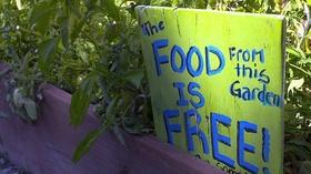 Video thumbnail: Wyoming Chronicle Hunger in Wyoming