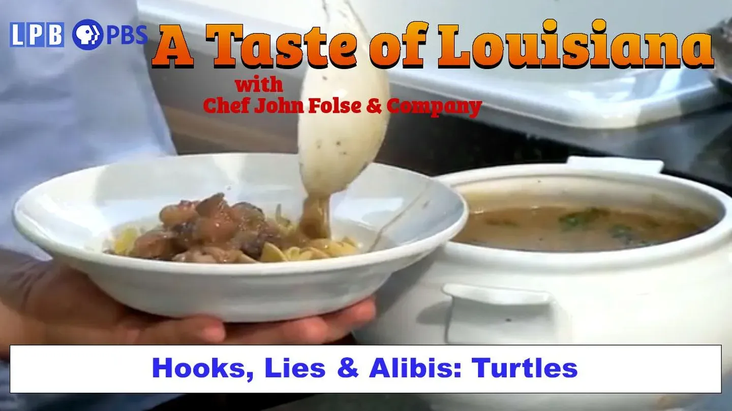 Turtles - Lake Verret, LA