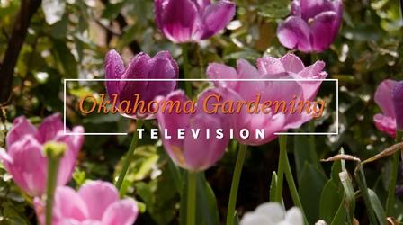 Video thumbnail: Oklahoma Gardening Oklahoma Gardening #4844 (04/30/22)