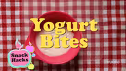 Yogurt Bites