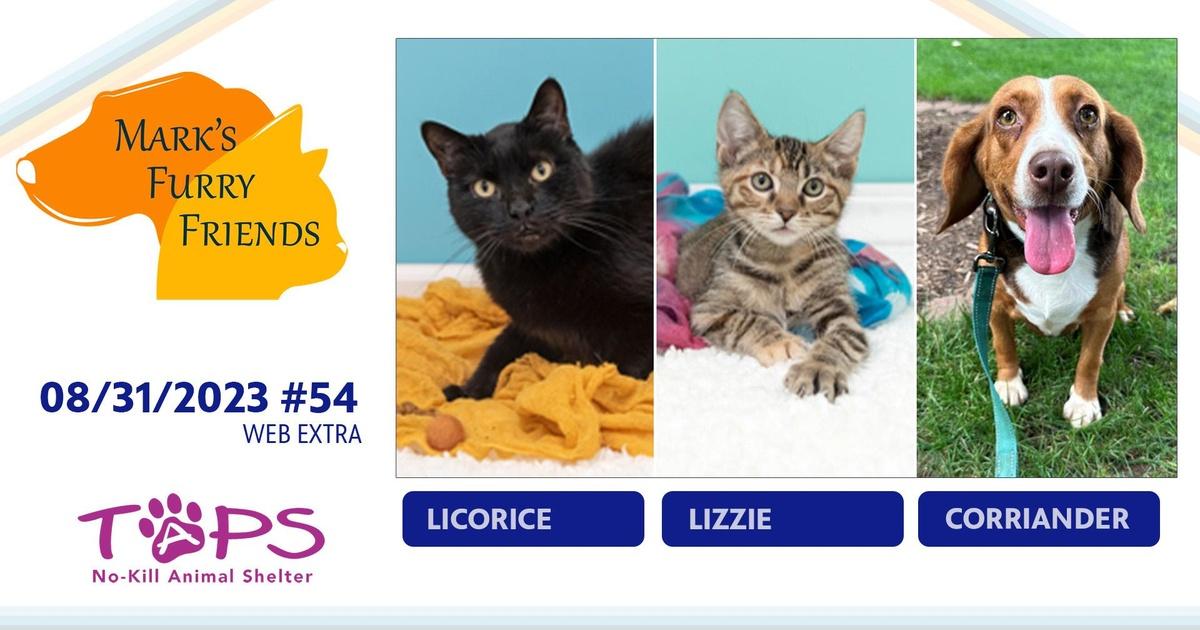 Mark’s furry friends | 08/31/2023 | licorice, lizzie and corriander | web extra | season 1 | episode 54