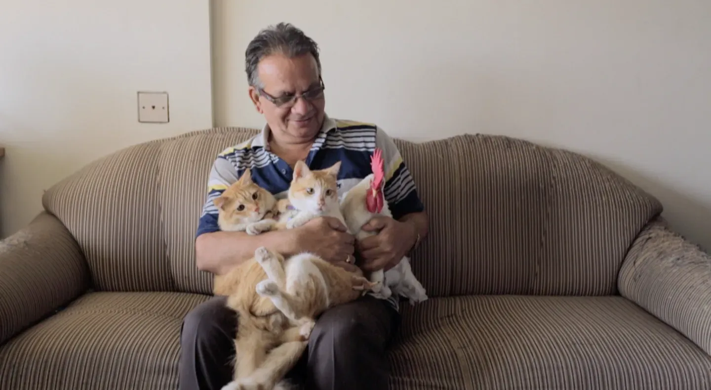 POV Shorts: Comic Culture