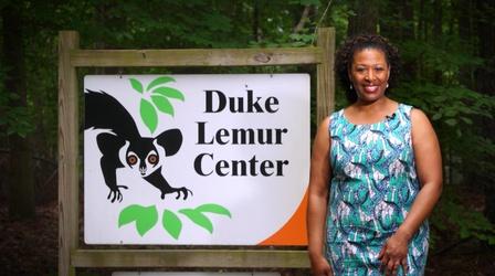 Video thumbnail: North Carolina Weekend Fun Things to do with the Kids
