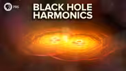 Black Hole Harmonics