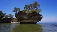 Port Austin: Turnip Rock