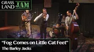 "Fog Comes on Little Cat Feet" The Barley Jacks